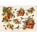 Rice paper for decoupage