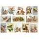 Rice paper for decoupage