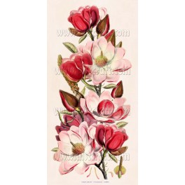 Rice paper for decoupage