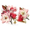 Rice paper for decoupage