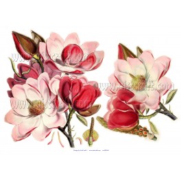 Rice paper for decoupage