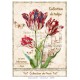 Rice paper for decoupage