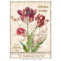 Rice paper for decoupage