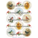 Rice paper for decoupage