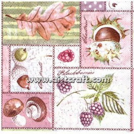 Napkin