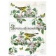Rice paper for decoupage
