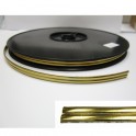 Self adhesive Electrophoretic coating lead strip Brass