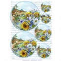 Rice paper for decoupage