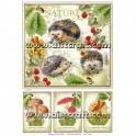 Rice paper for decoupage