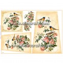 Rice paper for decoupage