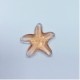Star pendant