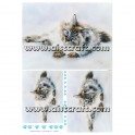 Rice paper for decoupage