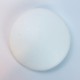 Styrofoam medallion 