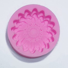 Silicone mold