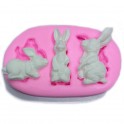 Silicone mold