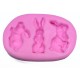 Silicone mold