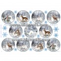 Rice paper for decoupage