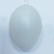 Plastic egg 