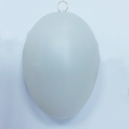 Plastic egg 