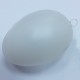 Plastic egg 