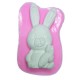 Silicone mold