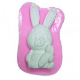 Silicone mold