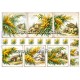 Rice paper for decoupage