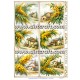 Rice paper for decoupage
