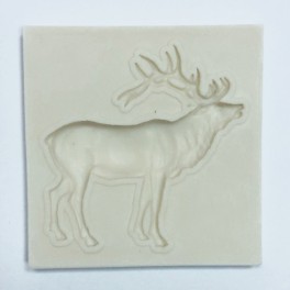 silicone mold