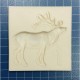 silicone mold