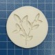 silicone mold
