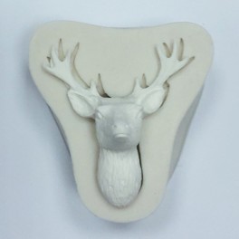 silicone mold