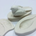 silicone mold