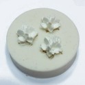 silicone mold