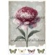 Rice paper for decoupage