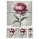 Rice paper for decoupage