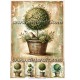 Rice paper for decoupage