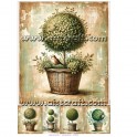 Rice paper for decoupage
