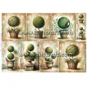 Rice paper for decoupage