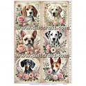 Rice paper for decoupage