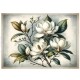 Rice paper for decoupage