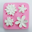 Silicone mold