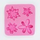 Silicone mold