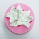 Silicone mold