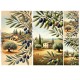 Rice paper for decoupage